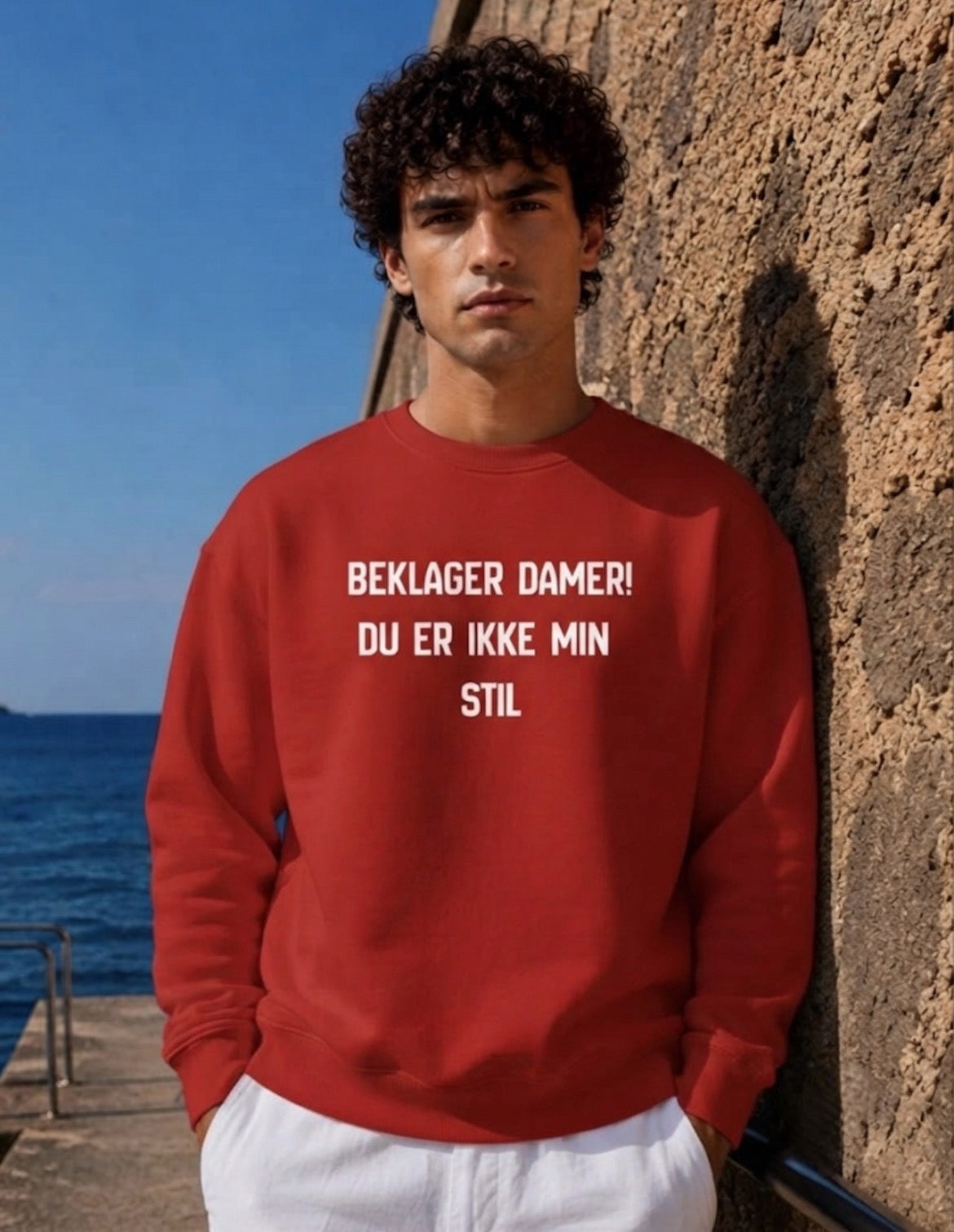 Beklager damer du er ikke min stil Sweatshirt